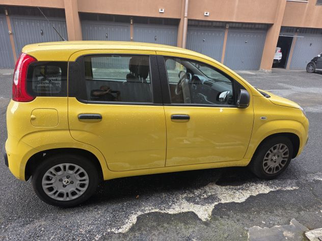 Pandina hybrid km 6100 - Foto 4