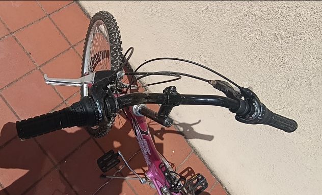 MONTAIN BIKE VICINI DA RAGAZZA 24 Pollici Cambio SHIMANO - Foto 8