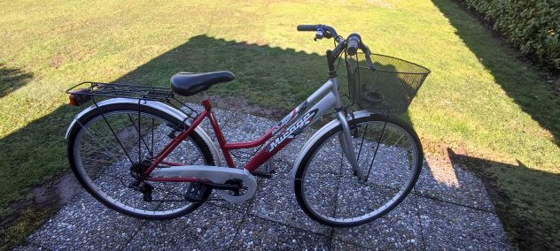 Bicicletta - Foto 2