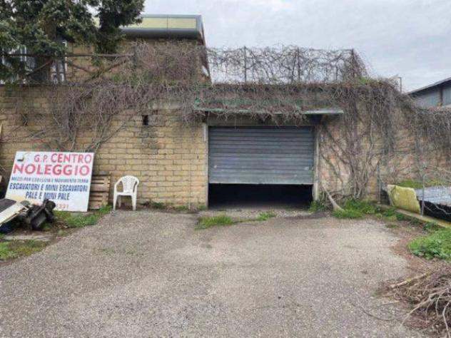 Immobile in asta di 11470 m² in vendita a Montefiascone - Foto 6