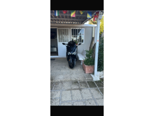 T Max 500