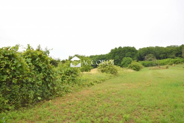 AREA EDIFICABILE di 2000 mq (GIAVERA DEL MONTELLO) rif. ZT57_8 - Foto 2