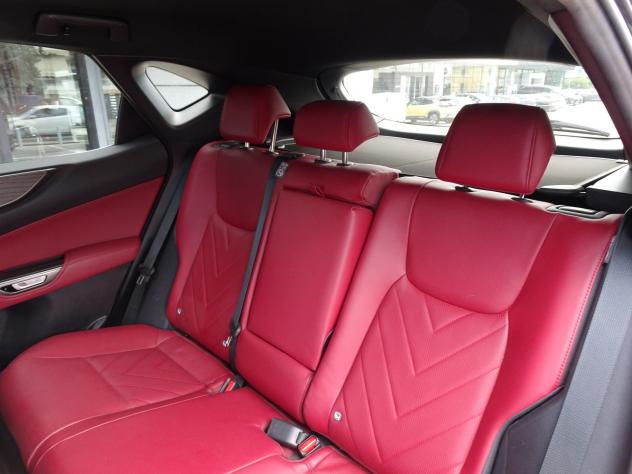 Lexus NX Plug-in 4WD Luxury - Foto 10