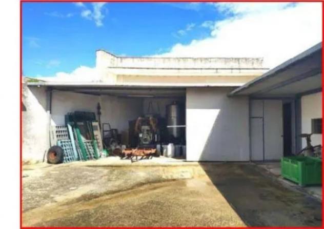 Immobile in asta di 3659 m² in vendita a Galatina - Foto 5