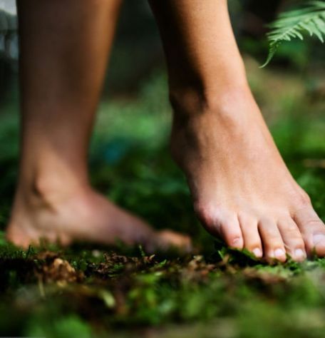 Istruttrice di Yoga/Ripresa Funzionale disponibile per lezioni private mattutine - Foto 5