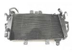 RADIATORE ACQUA TRIUMPH TIGER 1050 2006 - 2012 T2100240 WATER RADIATOR PIEGATO
