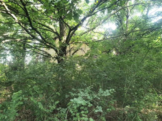 Rustico / Casale di 400 m² in vendita a Bomporto - Foto 6