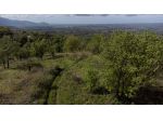 Terreno in vendita  (ce)