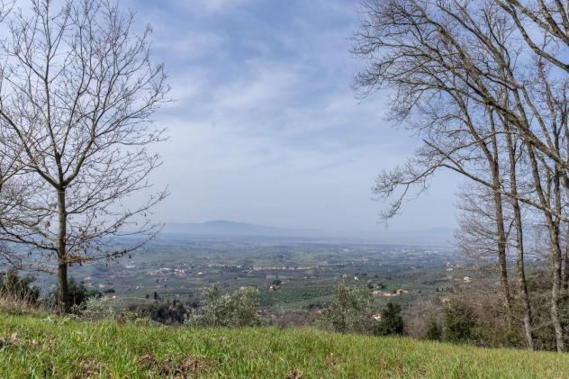 Terreno agricolo in vendita a Vitolini - Vinci 18450 mq Rif: 1399141 - Foto 6