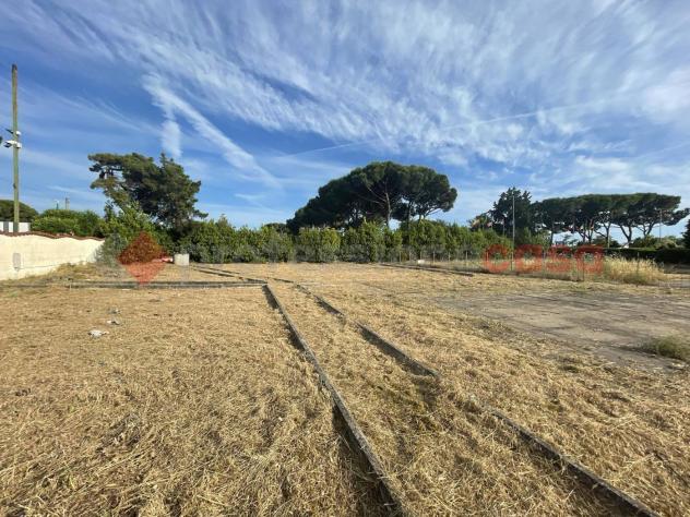 Terreno Agricolo - Terracina . Rif.: Cod. rif 3156677VCG - Foto 6