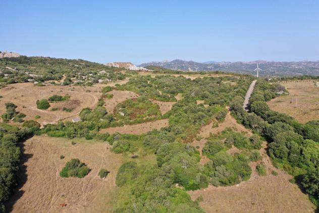 Terreno agricolo in vendita a Luogosanto 45000 mq Rif: 1356628 - Foto 5
