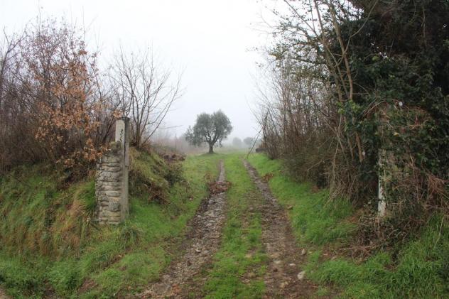 RUSTICO CASALE INDIPENDENTE CO 7 ETTARI DI TERRENO ADIACENTI FRA VICCHIO E BORGO SAN LORENZO (FIRENZE - Foto 19