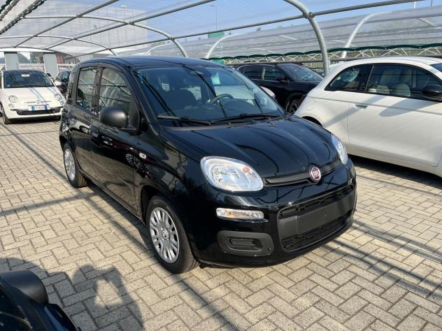 FIAT Panda Pandina 1.0 firefly hybrid Icon s&s 65cv 5p.ti - Foto 3