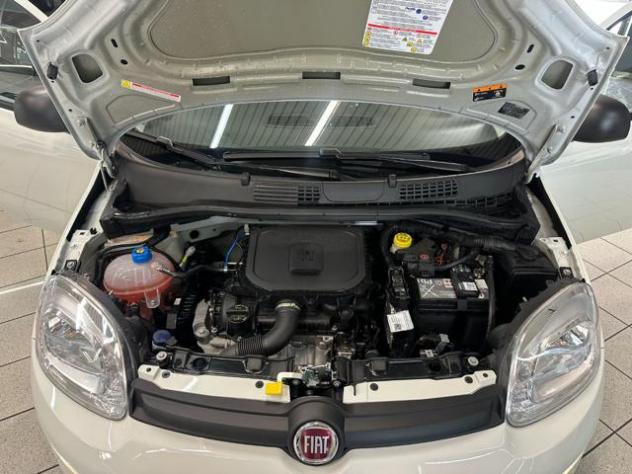 FIAT Panda PREZZO REALE 1.0 FireFly S&S Hybrid - Iva Esposta rif. 23796435 - Foto 6