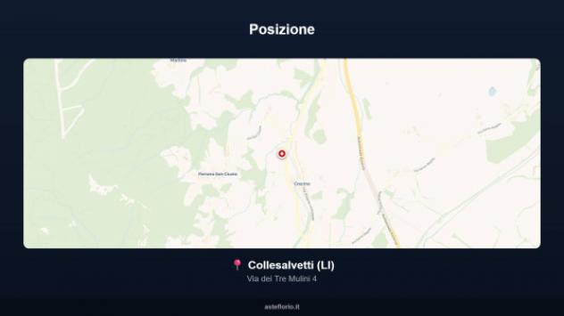 Immobile in asta di 11173 m² in vendita a Collesalvetti - Foto 9