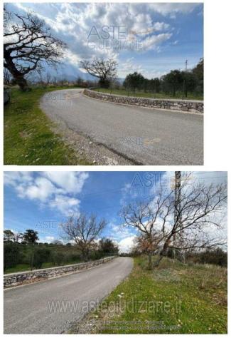 IMMOBILI-ALTRA CATEGORIA-Contrada Eliceto - Foto 2