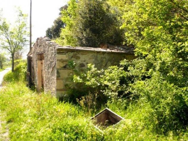 Agricolo in vendita a Castellina Marittima - Foto 2