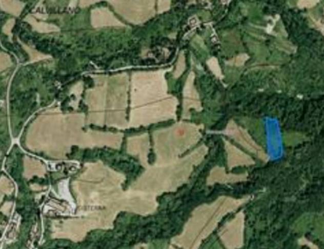 Immobile in asta di 23933 m² in vendita a Montecopiolo - Foto 8