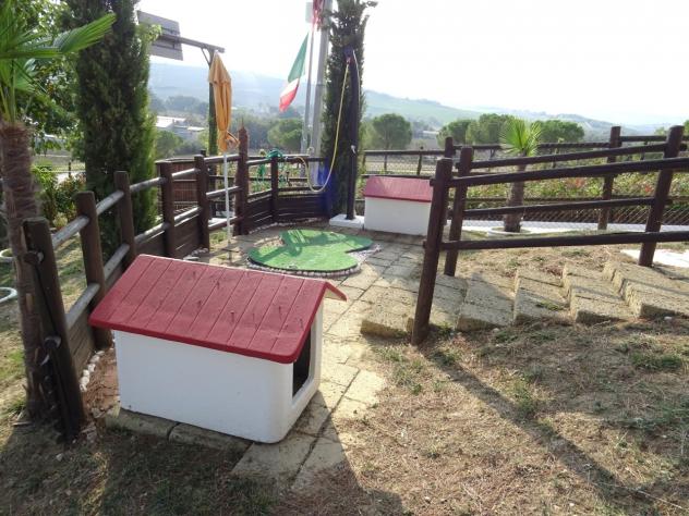 Casale in vendita a Ostra Vetere - Foto 4