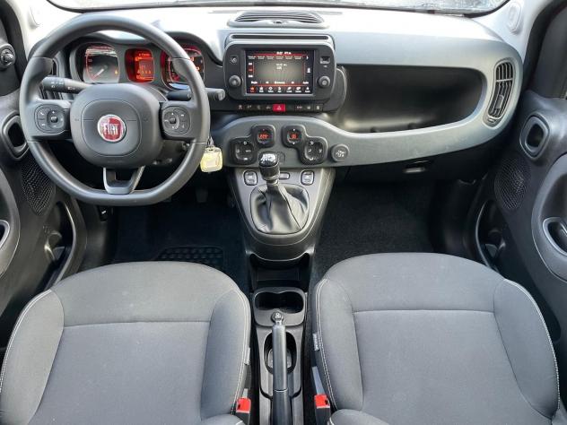 FIAT Panda 1.0 FireFly 70cv S&S Hybrid Pandina Cross - Foto 10