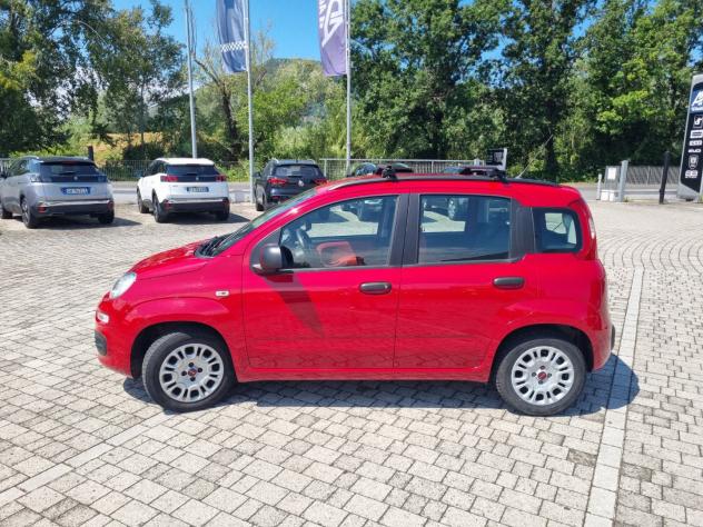 FIAT Panda 0.9 TwinAir Turbo 85cv S&S Lounge AUTOMATICA - Foto 5