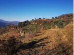 Annesso agricolo in vendita a Ponzano Superiore - Santo Stefano di Magra 54 &hellip;