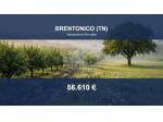 Immobile in asta di 28489 m² in vendita a Brentonico