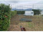 Terreno agricolo in vendita a Castelnuovo Magra 1000 mq  Rif: 1216165
