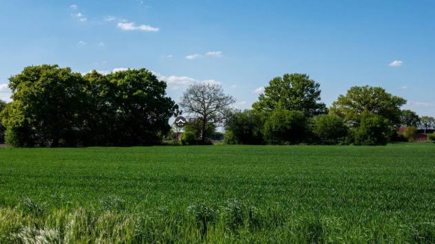 CENTINAROLA: Fano - centinarola inc ontesto prettamente residenziale, attorniato da una zona verde e ben servita, proponiamo in vendita lotto di terre - Foto 4