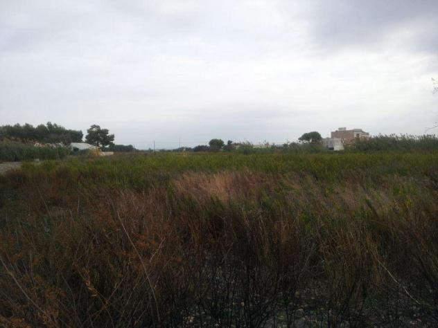 2979 - In vendita a Marsala, Terreno vicino al mare