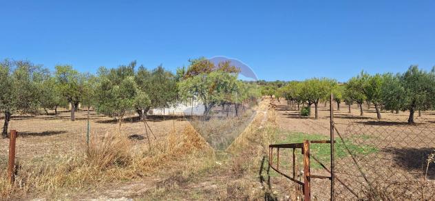 Terreno in vendita a Noto - Foto 9
