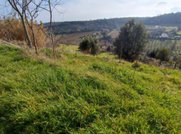 Immobile in asta di 9000 m² in vendita a Lapedona