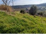 Immobile in asta di 9000 m² in vendita a Lapedona