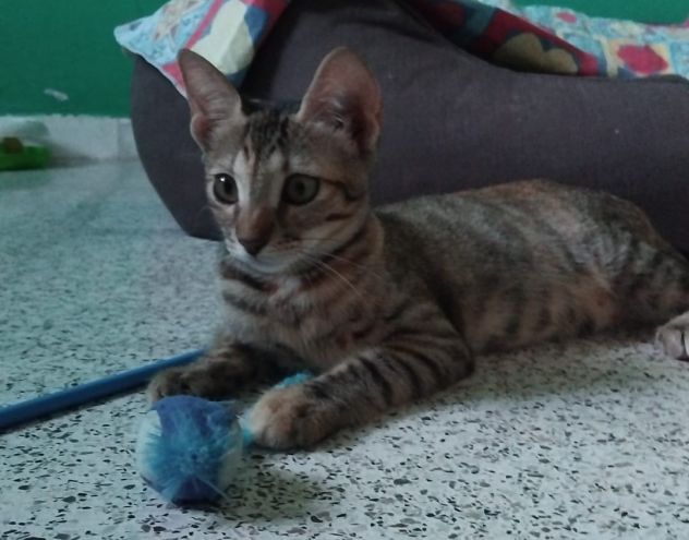 Susina e i suoi bellissimi occhi! - Foto 3