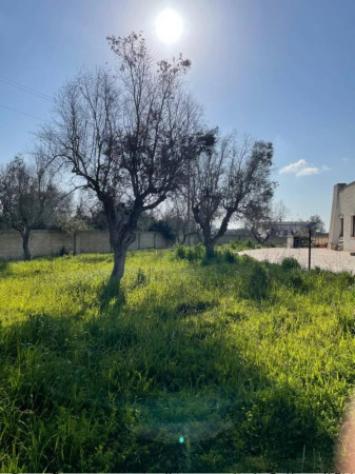 Immobile in asta di 346 m² in vendita a Taurisano - Foto 6