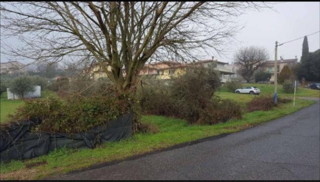 Immobile in asta di 13485 m² in vendita a Gualdo Cattaneo - Foto 5