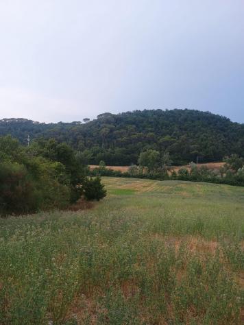 Rustico in vendita a Peccioli 200 mq Rif: 1426015 - Foto 9