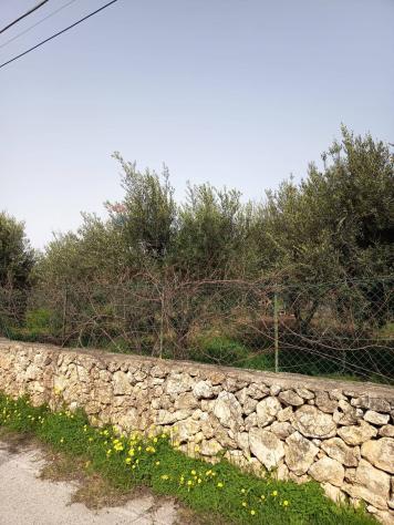 Terreno Edificabile in vendita a Siracusa, Plemmirio - Foto 2