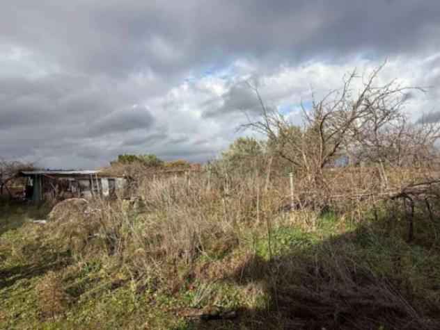 Immobile in asta di 182 m² con più di 5 locali in vendita a Viterbo - Foto 6