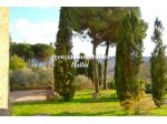 Barberino di Mugello - Panoramica Proprietà con parco, piscina e terreno