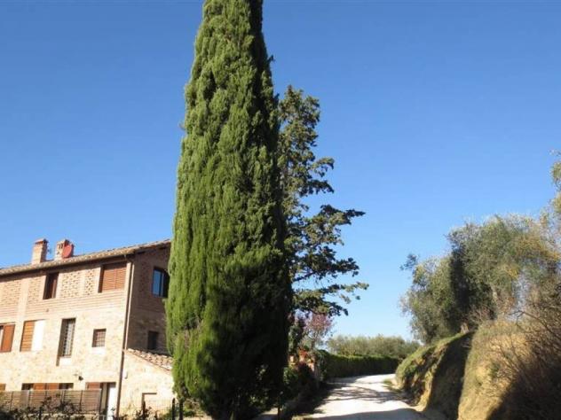 Colonica in vendita a Castelnuovo Berardenga 360 mq Rif: 1418661 - Foto 5