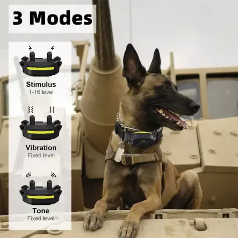 Collare di Addestramento  Professionale X CANI DA USARE ANCHE COME ANTI ABBAIO - Foto 2
