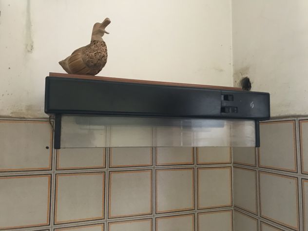 CAPPA ASPIRATORE PER CUCINA