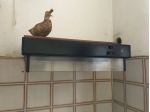 CAPPA ASPIRATORE PER CUCINA