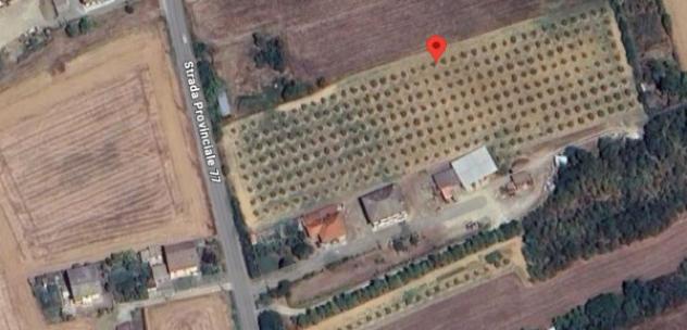 Immobile in asta di 2310 m² in vendita a Felizzano - Foto 4