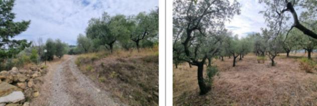 Immobile in asta di 19 m² in vendita a Montemurlo - Foto 9
