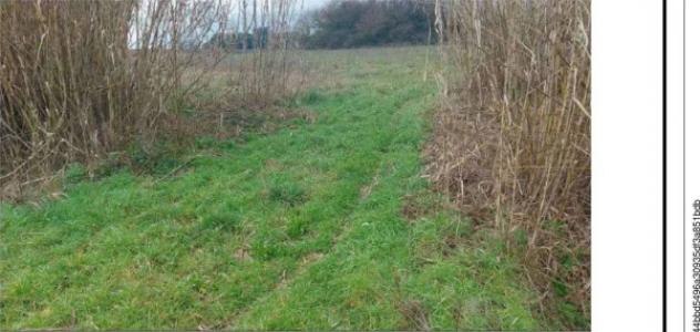 Immobile in asta di 87 m² in vendita a Viterbo - Foto 4