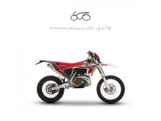 FANTIC MOTOR XE 300 MY 25
