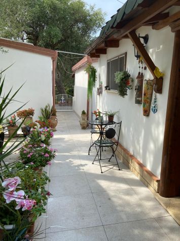 Estate a Marina di Camerota (Cilento, SA) - Foto 2