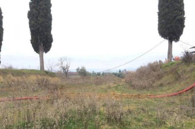 Immobile in asta di 5805 m² in vendita a Castelnuovo Berardenga - Foto 7